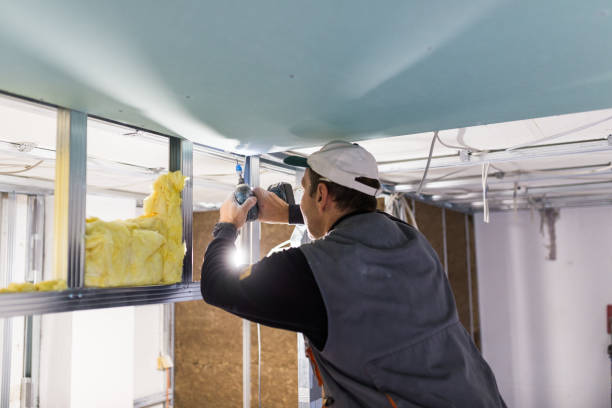 Best Insulation Maintenance and Repair in Shark River Hills, NJ