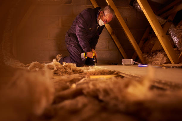 Best Residential Insulation in Shark River Hills, NJ